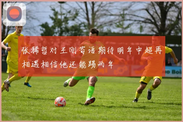 张稀哲对王刚寄语期待明年中超再相遇相信他还能踢两年
