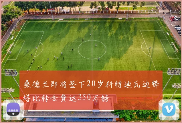 桑德兰即将签下20岁科特迪瓦边锋塔比转会费达350万镑