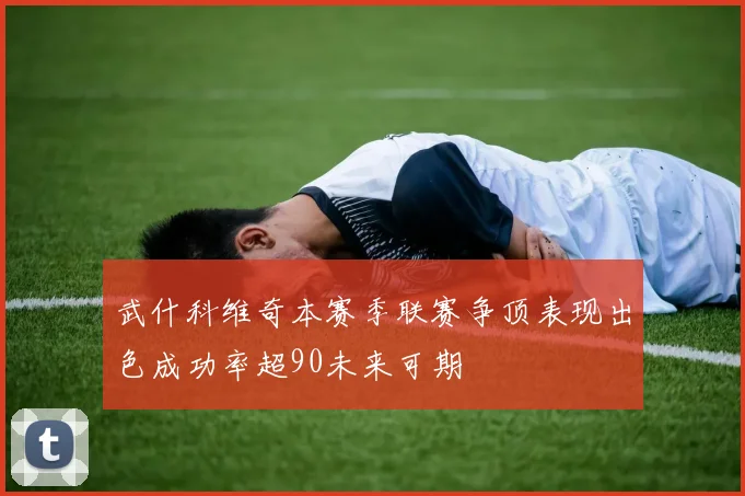 武什科维奇本赛季联赛争顶表现出色成功率超90未来可期