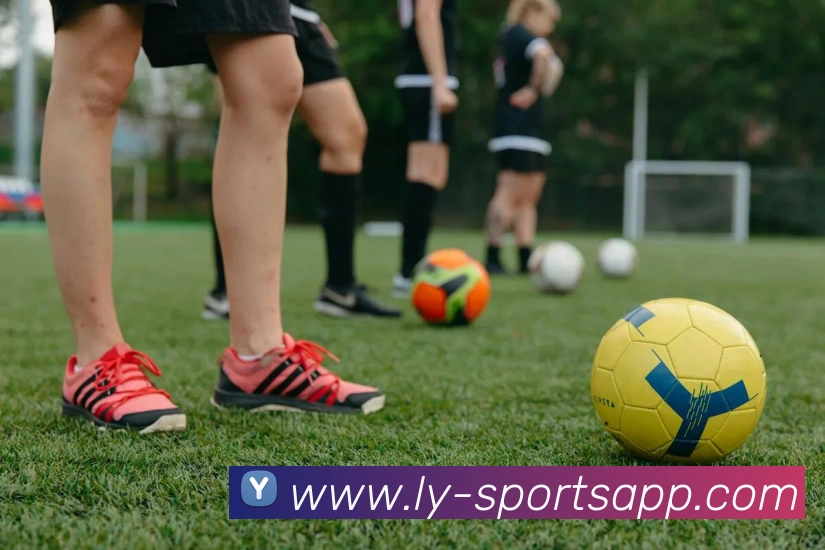 乐鱼体育平台生态图