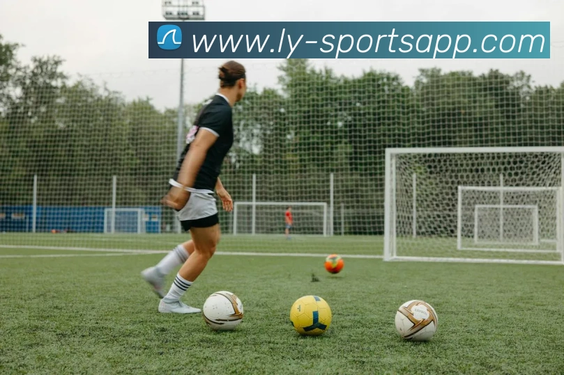 乐鱼体育APP 封面图